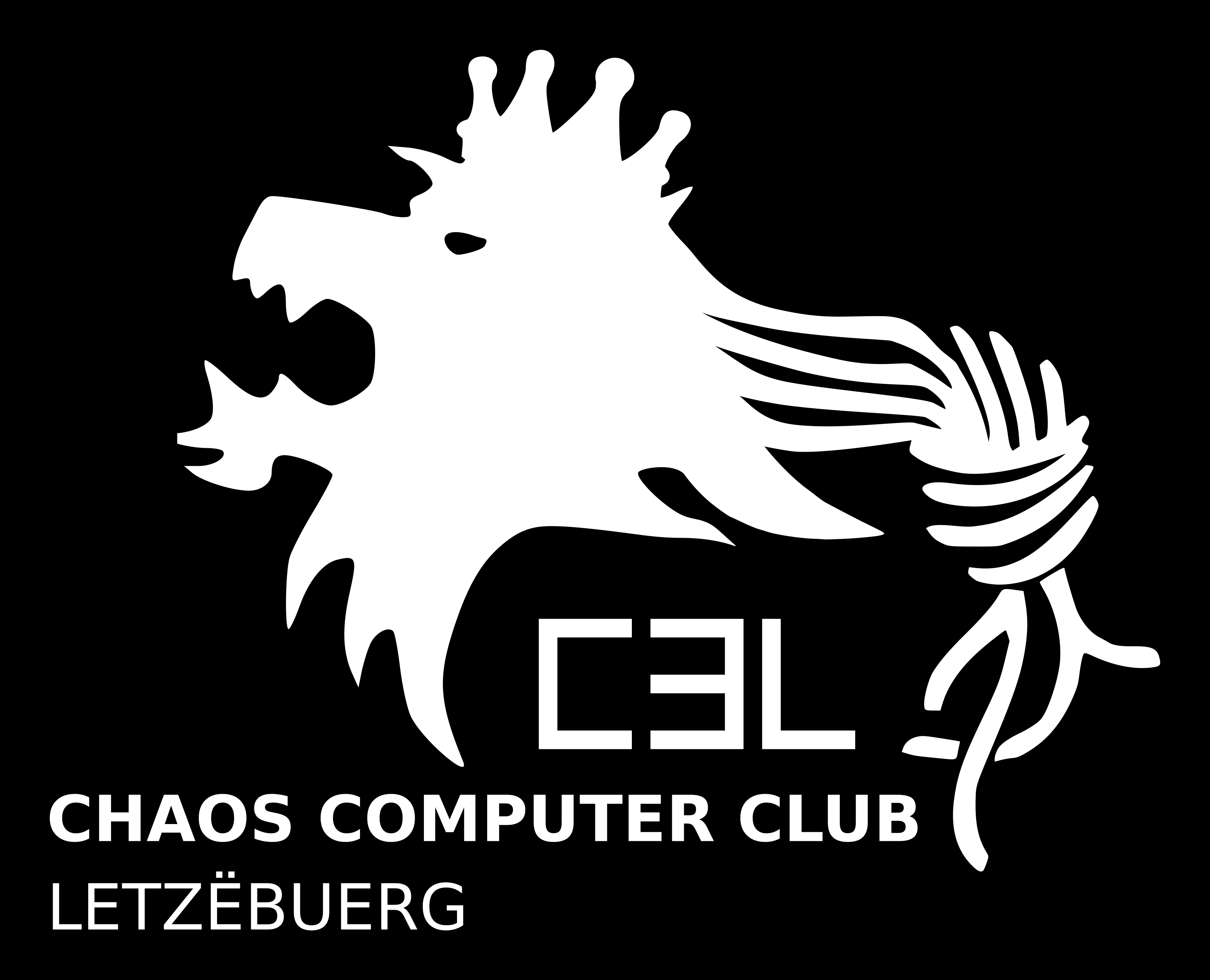 Chaos Computer Club Lëtzebuerg Maker Picture