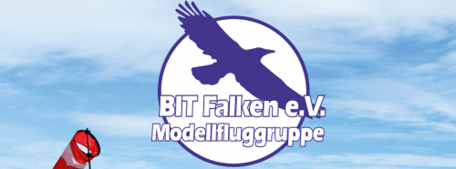Bit-Falken e.V.  Maker Picture